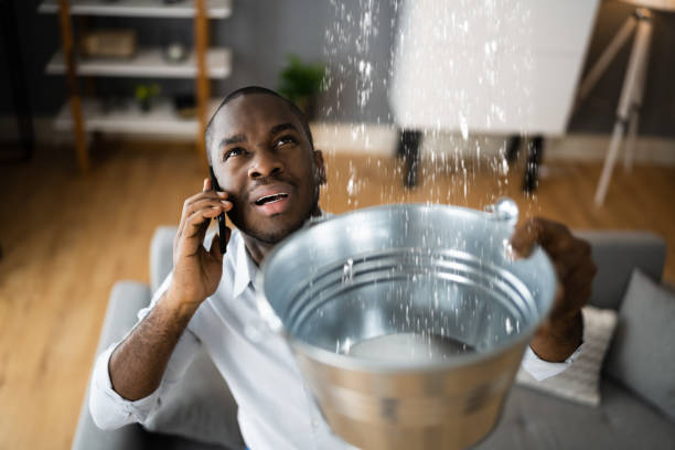 Best Flood restoration services  in Goldstream, AK
